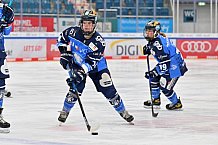 Eishockey, Frauen, DFEL, Saison 2023-2024, ERC Ingolstadt - Amsterdam Tigers, 06.01.2024