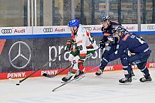 Eishockey, Herren, DEL, Saison 2024-2025, Spieltag 15, ERC Ingolstadt - Augsburger Panther, 03.11.2024