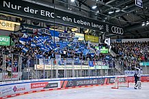 Eishockey, Herren, DEL, Saison 2024-2025, Spieltag 49, ERC Ingolstadt - Straubing Tigers, 28.02.2025