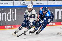 Eishockey, Frauen, DFEL, Saison 2025-2026, ERC Ingolstadt - Eisbären Berlin, 18.01.2026