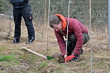 Eishockey, Herren, DEL, Saison 2023-2024, ERC Ingolstadt - Baumpflanzaktion, 02.03.2024