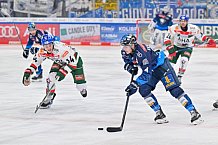 Eishockey, Herren, DEL, Saison 2024-2025, Spieltag 35, ERC Ingolstadt - Augsburger Panther, 10.01.2025