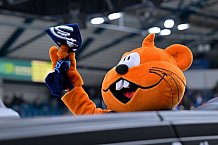 Eishockey, Herren, DEL, Saison 2025-2026, Spiel 21, ERC Ingolstadt - Pinguins Bremerhaven, 23.11.2025