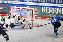 Eishockey, Herren, DEL, Saison 2025-2026, Spiel 22, ERC Ingolstadt - Eisbären Berlin, 26.11.2025