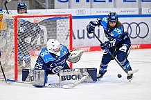 Eishockey, Frauen, DFEL, Saison 2025-2026, Testspiel, ERC Ingolstadt - HC Davos, 14.02.2026