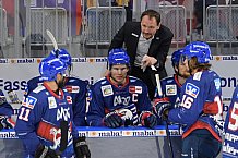 Eishockey, Herren, DEL, Saison 2020-2021, Adler Mannheim - ERC Ingolstadt, 24.01.2021