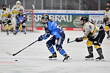 Eishockey, Frauen, DFEL, Saison 2023-2024, ERC Ingolstadt - Mad Dogs Mannheim, 18.02.2024