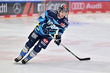 Eishockey, Herren, DEL, Saison 2023-2024, Playoffs Viertelfinale - Spiel 2, ERC Ingolstadt - Fischtown Pinguins , 20.03.2024