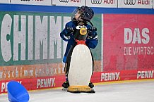 Eishockey, Herren, DEL, Saison 2024-2025, ERC Ingolstadt - Kids On Ice Day, 11.01.2025