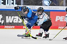 Eishockey, Herren, DEL, Saison 2026-2027, Spieltag 2, ERC Ingolstadt - Nürnberg Ice Tigers, 20.09.2026