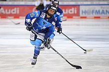 Eishockey, Frauen, DFEL, Saison 2020-2021, ERC Ingolstadt - Mad Dogs Mannheim, 30.01.2021
