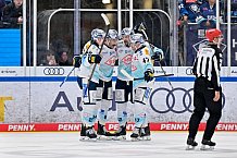 Eishockey, Herren, DEL, Saison 2025-2026, Spiel 23, ERC Ingolstadt - Dresdner Eislöwen, 28.11.2025