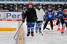 Eishockey, Saison 2025-2026, ERC Ingolstadt - Kids On Ice Day, 10.01.2026