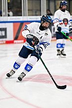 Eishockey, Frauen, DFEL, Saison 2026-2027, Testspiel, ERC Ingolstadt - ZSC Lions Zürich, 05.09.2026