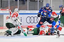 Eishockey, Herren, DEL, Saison 2026-2027, Spieltag 10, ERC Ingolstadt - Augsburger Panther, 18.10.2026