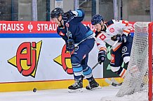 Eishockey, Mens, CHL, Season 2023-2024, ERC Ingolstadt - Växjö Lakers, 14.11.2023