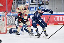 Eishockey, Herren, DEL, Saison 2024-2025, Spieltag 48, ERC Ingolstadt - Nürnberg Ice Tigers, 23.02.2025