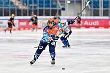 Eishockey, Frauen, DFEL, Saison 2024-2025, ERC Ingolstadt - EC Bergkamener Bären, 05.01.2025