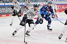 Eishockey, Herren, DEL, Saison 2024-2025, Spieltag 42, ERC Ingolstadt - Kölner Haie, 31.01.2025