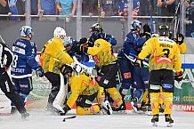 Vorbereitung, Eishockey, Herren, DEL, Saison 2021-2022, ERC Ingolstadt - spusu Vienna Capitals, 04.09.2021