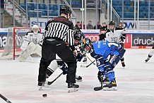 Eishockey, Frauen, DFEL, Saison 2023-2024, ERC Ingolstadt - Amsterdam Tigers, 06.01.2024