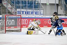 Eishockey, Frauen, DFEL, Saison 2024-2025, ERC Ingolstadt - Mad Dogs Mannheim, 23.11.2024