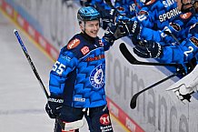 Eishockey, Herren, DEL, Saison 2025-2026, Spiel 16, ERC Ingolstadt - Kölner Haie, 31.10.2025