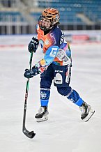 Eishockey, Frauen, DFEL, Saison 2024-2025, ERC Ingolstadt - Mad Dogs Mannheim, 23.11.2024