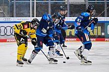 Eishockey, Herren, U20 DNL, Saison 2025-2026, ERC Ingolstadt - Krefeld Pinguine, 10.01.2026
