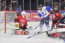 Koelner Haie vs ERC Ingolstadt, DEL, Deutsche Eishockey Liga, Playoffs, Viertelfinale, Spiel 7, 31.03.2019