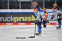 Eishockey, Frauen, DFEL, Saison 2024-2025, ERC Ingolstadt - Eisbären Berlin, 15.02.2025