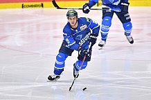 ERC Ingolstadt vs Duesseldorfer EG, Eishockey, DEL, Deutsche Eishockey Liga, Spieltag 22, 19.11.2017