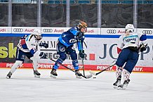 Eishockey, Frauen, DFEL, Saison 2024-2025, ERC Ingolstadt - Eisbären Berlin, 15.02.2025