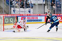 Hockey, Mens, CHL, Season 2025-2026, Regular Season, Round of 16, ERC Ingolstadt - EC Red Bull Salzburg, 12.11.2025