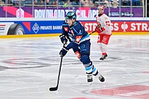 Hockey, Mens, CHL, Season 2025-2026, Regular Season, Game Day 6, ERC Ingolstadt - Odense Bulldogs, 15.10.2025