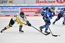 Eishockey, Frauen, DFEL, Saison 2023-2024, ERC Ingolstadt - Mad Dogs Mannheim, 18.02.2024