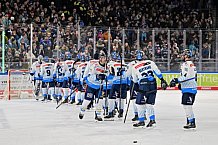 Eishockey, Herren, DEL, Saison 2024-2025, Spieltag 39, Straubing Tigers - ERC Ingolstadt, 24.01.2025