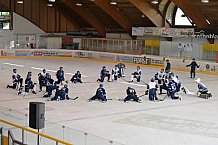Eishockey, Herren, DEL, Saison 2022-2023, ERC Ingolstadt - Ice Training, 25.08.2022