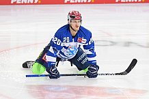 Eishockey, Herren, DEL, Saison 2020-2021, Straubing Tigers - ERC Ingolstadt, 31.01.2021