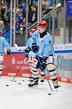 Eishockey, Herren, DEL, Saison 2024-2025, Spieltag 52, ERC Ingolstadt - Schwenninger Wild Wings, 07.03.2025