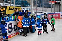 Eishockey, Saison 2025-2026, ERC Ingolstadt - Kids On Ice Day, 29.11.2025