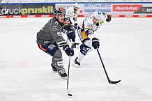 Eishockey, Herren, DEL, Saison 2023-2024, Spieltag 33, ERC Ingolstadt - Eisbären Berlin, 30.12.2023