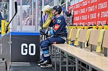 Eishockey, Mens, CHL, Season 2023-2024, ERC Ingolstadt - Växjö Lakers, 14.11.2023
