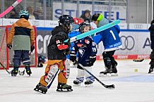 Eishockey, Saison 2025-2026, ERC Ingolstadt - Kids On Ice Day, 10.01.2026