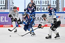 Eishockey, Herren, DEL, Saison 2024-2025, Spieltag 36, ERC Ingolstadt - Kölner Haie, 12.01.2025