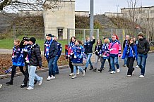 Eishockey, Herren, DEL, Saison 2025-2026, Spiel 24, Nürnberg Ice Tigers - ERC Ingolstadt, 30.11.2025