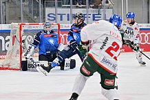 Eishockey, Herren, DEL, Saison 2023-2024, Spieltag 35, ERC Ingolstadt - Augsburger Panther, 05.01.2024
