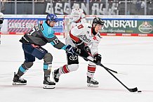 Eishockey, Herren, DEL, Saison 2026-2027, Spieltag 6, ERC Ingolstadt - Kölner Haie, 04.10.2026