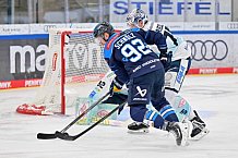Eishockey, Herren, DEL, Saison 2025-2026, Spiel 44, ERC Ingolstadt - Dresdner Eislöwen, 27.01.2026