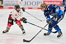 Eishockey, Frauen, DFEL, Saison 2024-2025, ERC Ingolstadt - EC Bergkamener Bären, 05.01.2025